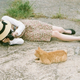 Illustration for article titled Cats Rule These Japanese Islands
